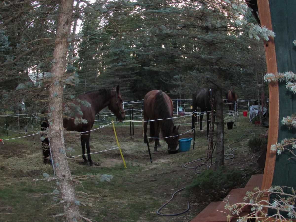 Best Bear Lodge & Campground Irons Екстер'єр фото